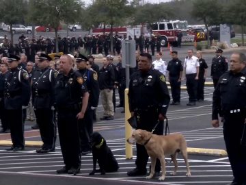 ICYMI: Funeral for K-9 killed in the line of duty