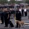 ICYMI: Funeral for K-9 killed in the line of duty