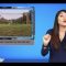 [ID: 12P_Wtzd3sk] Youtube Automatic