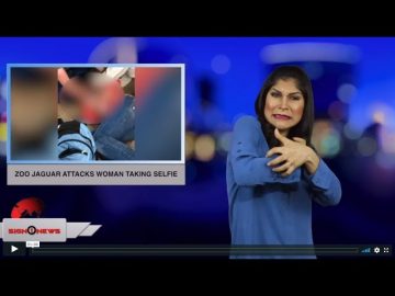 [ID: 49SD28_gp2g] Youtube Automatic