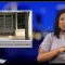 [ID: 5wb8jO4Oc1M] Youtube Automatic