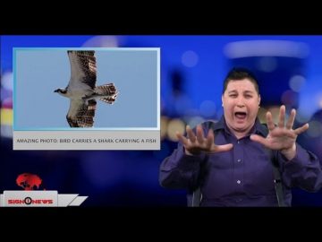 [ID: aiqaB1iMsaQ] Youtube Automatic