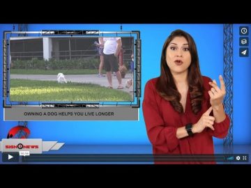 [ID: AXogomLUv4c] Youtube Automatic