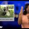 [ID: CMwpGigjGmc] Youtube Automatic