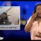 [ID: cROb6p1ylhw] Youtube Automatic