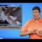 [ID: dCWQyXHgOyI] Youtube Automatic