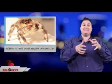 [ID: dkLSqwpYq8w] Youtube Automatic