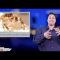 [ID: dkLSqwpYq8w] Youtube Automatic