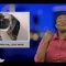 [ID: Fx0BtTzNlV0] Youtube Automatic