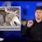 [ID: jokTw6QHMf0] Youtube Automatic
