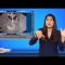[ID: kzi4xbL8OsI] Youtube Automatic