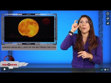 [ID: -O7KV67qnS0] Youtube Automatic