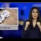 [ID: Or0yM4DYrFw] Youtube Automatic