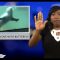 [ID: qQObOesOqKg] Youtube Automatic