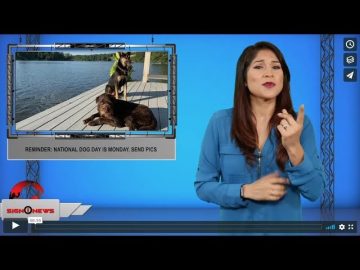 [ID: sFAb5Ia8Slg] Youtube Automatic