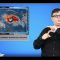 [ID: vX8xs2zQ9LI] Youtube Automatic