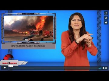 [ID: Y_WmbjsX12A] Youtube Automatic