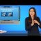 Oreo unveils two new cookies (ASL – 11.8.19)