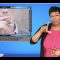 Private: [ID: 0lN254xgoqk] Youtube Automatic