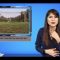 Private: [ID: 4AsiL4C8l_E] Youtube Automatic