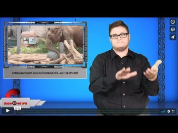 Private: [ID: 4lpWRXlkERM] Youtube Automatic