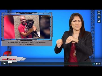 Private: [ID: Rr4R8lfrJac] Youtube Automatic