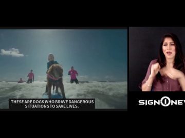 Private: [ID: u20iQUSr2n8] Youtube Automatic