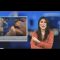 Sign1News 1.12.19 – News for the deaf community powered by CNN in American Sign Language (ASL)
