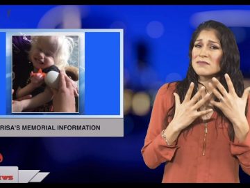 Sign1News 1.4.19 – News for the deaf community powered by CNN in American Sign Language (ASL)