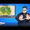 Sign1News 11.24.19 – News for the Deaf community powered by CNN in American Sign Language (ASL).