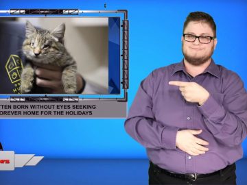 Sign1News 12.14.19 – News for the Deaf community powered by CNN in American Sign Language (ASL).