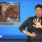 Sign1News 12.16.19 – News for the Deaf community powered by CNN in American Sign Language (ASL).