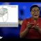 Sign1News 4.27.19 – News for the Deaf community powered by CNN in American Sign Language (ASL)