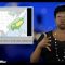 Sign1News 4.8.19 – News for the Deaf community powered by CNN in American Sign Language (ASL)