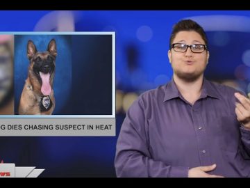 Sign1News 5.25.19 – News for the Deaf community powered by CNN in American Sign Language (ASL)