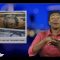 Sign1News 5.4.19 – News for the Deaf community powered by CNN in American Sign Language (ASL)