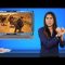 Sign1News 7.26.19 – News for the Deaf community powered by CNN in American Sign Language (ASL).
