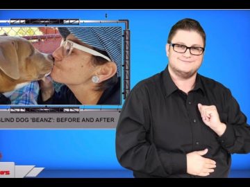Sign1News 9.28.19 – News for the Deaf community powered by CNN in American Sign Language (ASL).