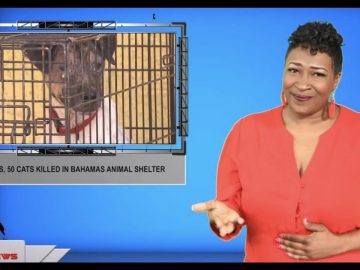 Sign1News 9.9.19 – News for the Deaf community powered by CNN in American Sign Language (ASL).