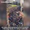 ICYMI Heavy police presence at pro-gun rally in Virginia