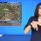 National weather service warns of falling Iguanas