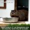 ICYMI: It’s Groundhog Day!