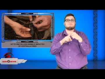 Private: [ID: Gk_O9PpfQec] Youtube Automatic