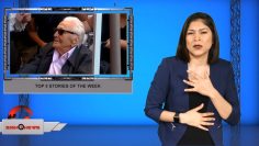 Top 5 stories of the week