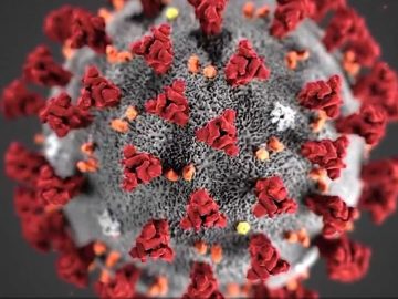 Breaking News: WHO declares coronavirus pandemic