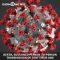 Breaking News: WHO declares coronavirus pandemic