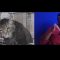 Can your pet contract coronavirus?