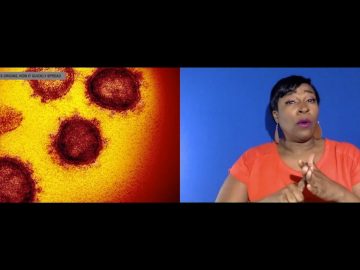 Coronavirus: Investigating its origins, how it quickly spread