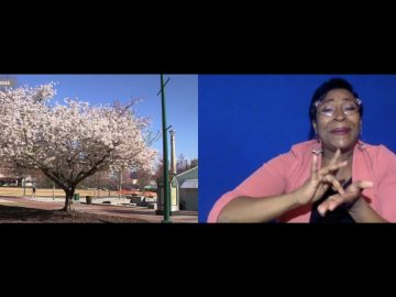 How to avoid seasonal allergies