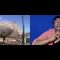 How to avoid seasonal allergies